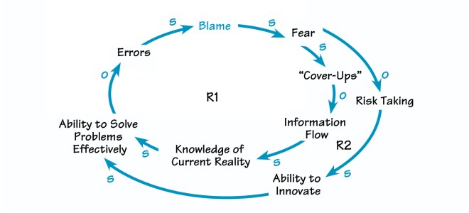 The Systems Thinker V8 N1 Feature