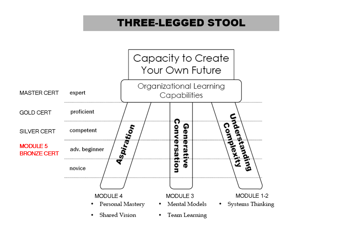3-legged Stool Module5
